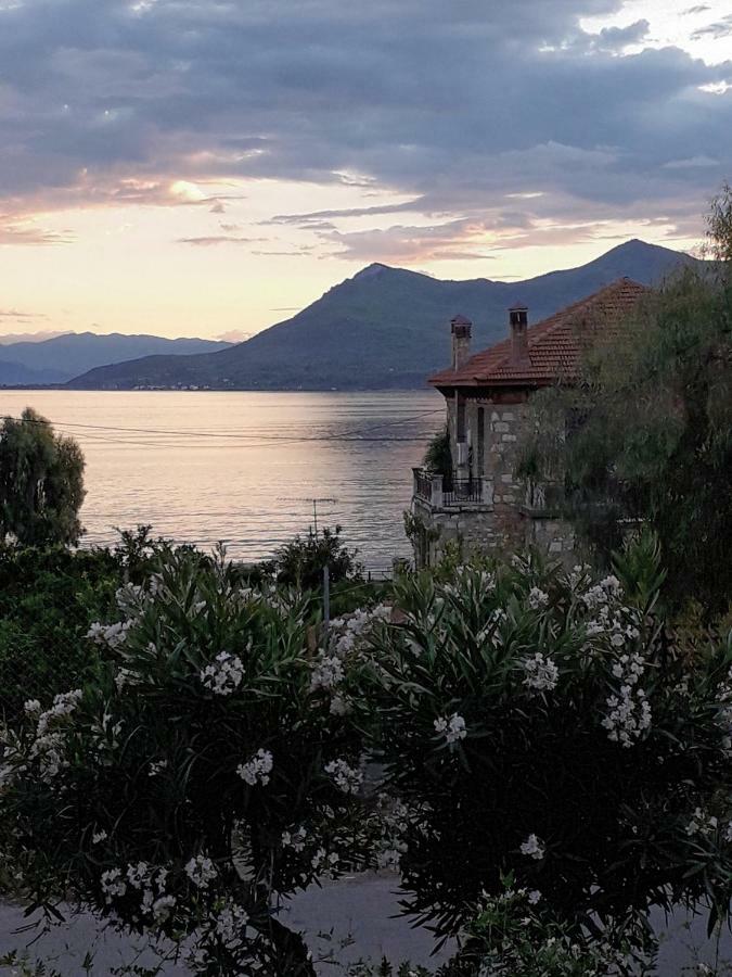 Soile Georgia Leilighet Loutrá Edipsoú Eksteriør bilde